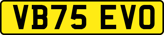 VB75EVO