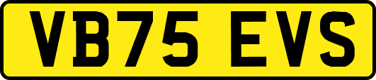 VB75EVS