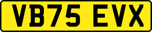 VB75EVX