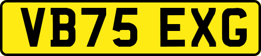 VB75EXG