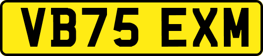 VB75EXM