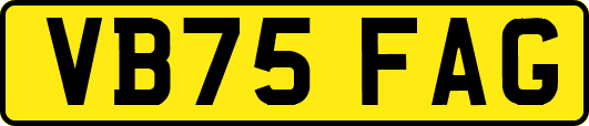 VB75FAG