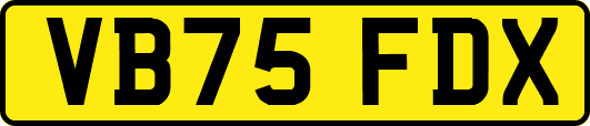 VB75FDX