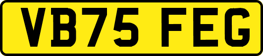 VB75FEG