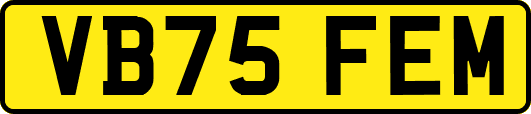 VB75FEM