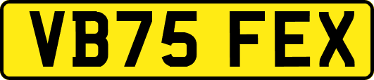 VB75FEX