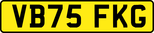 VB75FKG