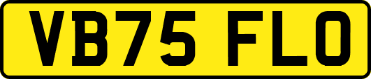 VB75FLO