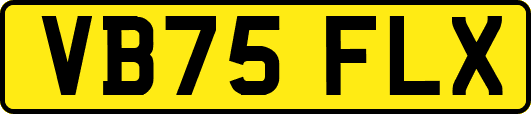 VB75FLX