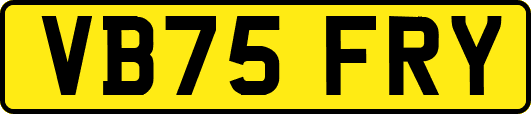 VB75FRY