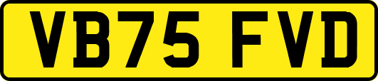 VB75FVD
