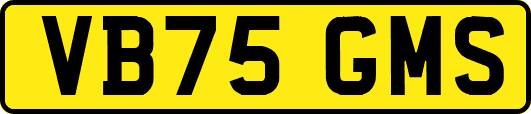VB75GMS