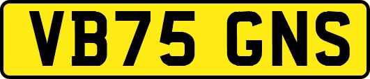 VB75GNS