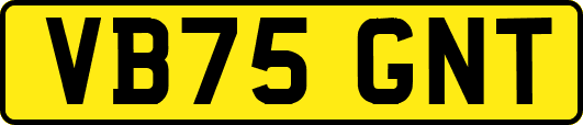 VB75GNT
