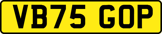 VB75GOP