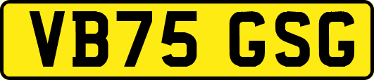 VB75GSG