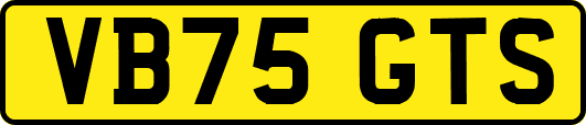 VB75GTS