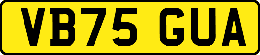 VB75GUA