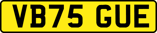 VB75GUE