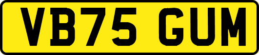VB75GUM