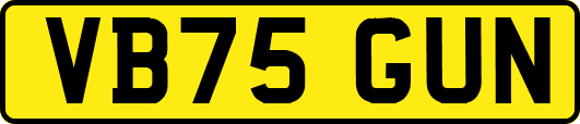 VB75GUN