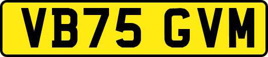 VB75GVM