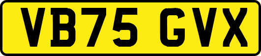 VB75GVX
