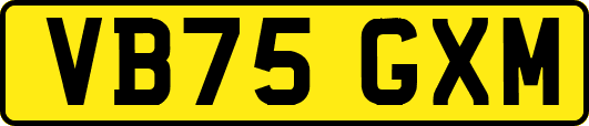 VB75GXM