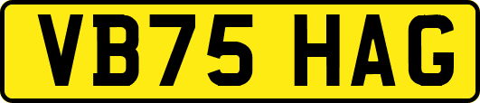 VB75HAG