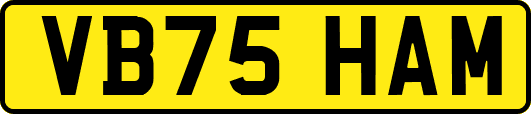 VB75HAM