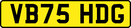 VB75HDG