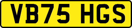 VB75HGS