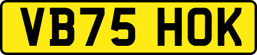 VB75HOK