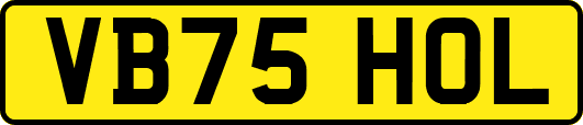 VB75HOL
