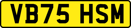 VB75HSM