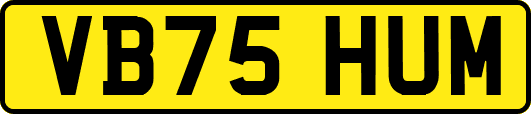 VB75HUM