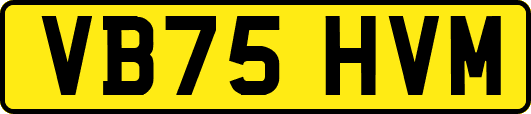 VB75HVM