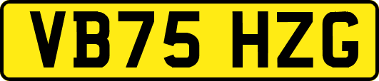 VB75HZG