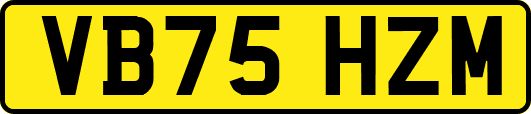 VB75HZM