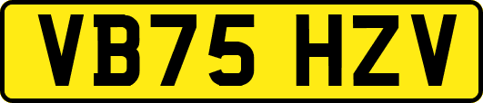 VB75HZV