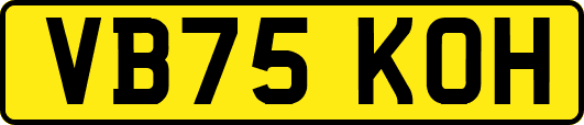 VB75KOH
