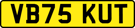 VB75KUT