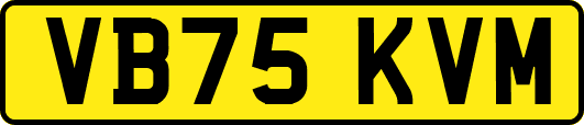 VB75KVM