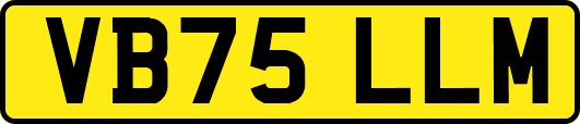 VB75LLM