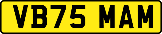 VB75MAM