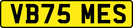 VB75MES
