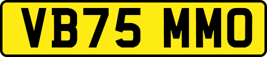 VB75MMO