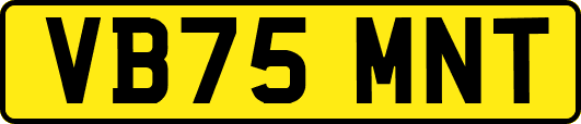 VB75MNT