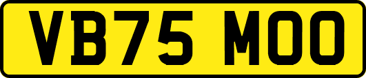 VB75MOO