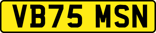 VB75MSN